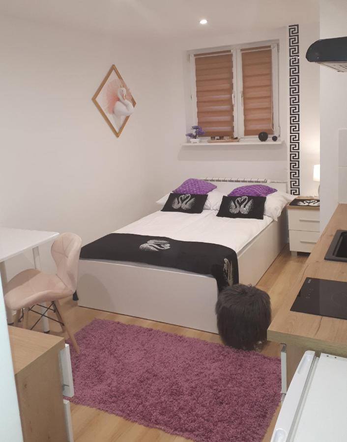 Apartamenty Centrum Panoramiczna Mala Dwojka Swan Labedz Promenada Klimatyzacja Lodowa Кельце Екстер'єр фото