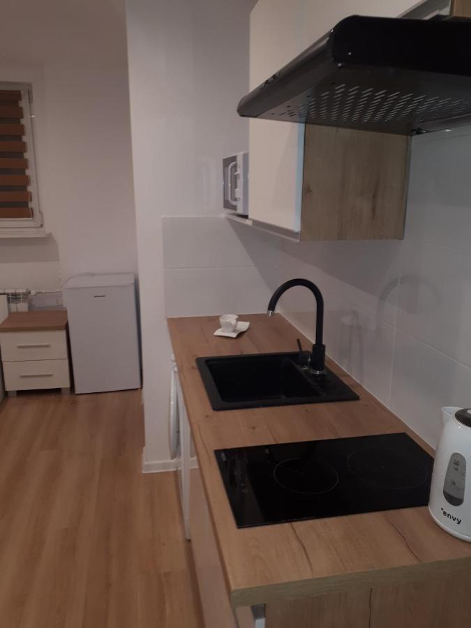 Apartamenty Centrum Panoramiczna Mala Dwojka Swan Labedz Promenada Klimatyzacja Lodowa Кельце Екстер'єр фото